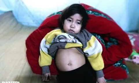 Mã số 5183: Gia đình nghèo lo lắng cho số phận bé gái 7 tuổi chỉ có một quả thận