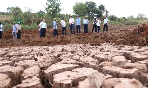Các tỉnh Tây Nguyên gồng mình chống hạn