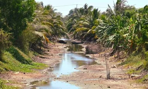 Cà Mau: Công bố hạn hán khẩn cấp