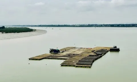 Chính quyền làm ngơ trước việc người dân kết bè thả hàu trên khu vực biên giới biển