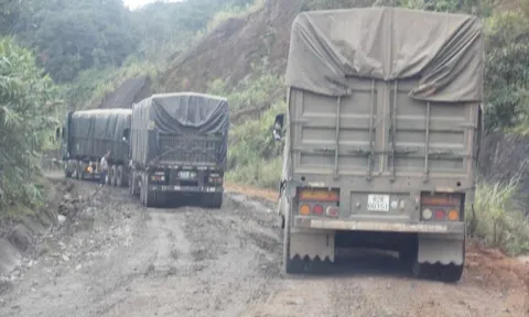 Vì sao tỉnh Quảng Nam đề xuất cấm xe trên 5 trục qua QL14D?