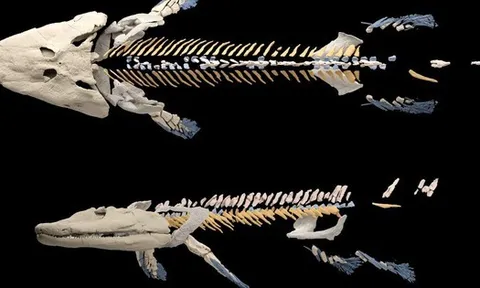 Thủy quái mọc chân 375 triệu tuổi tiết lộ bí mật làm thay đổi địa cầu