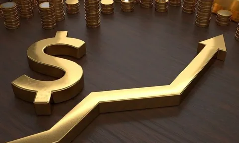 Chuyên gia: Khi Fed cắt giảm lãi suất, giá mặt hàng này sẽ tiếp tục tăng phi mã