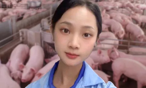 Cô gái trẻ Trung Quốc nổi tiếng sau khi bỏ việc văn phòng về nuôi lợn
