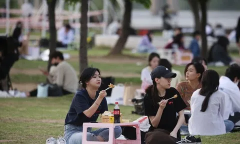 Tăng vọt loại hộ gia đình đặc biệt ở Hàn Quốc