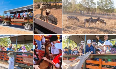 Bình Thuận: Tưng bừng Lễ hội Carnival NovaWorld Phan Thiet chào đón dịp lễ 30/4