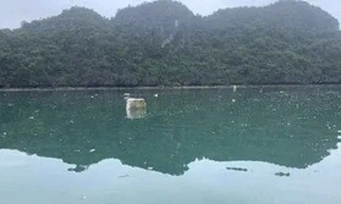 Du khách nước ngoài: Nếu biết vịnh Hạ Long ô nhiễm như vậy đã không đến