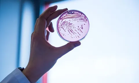 Giới khoa học phát hiện vi khuẩn 'ma cà rồng' khát máu người