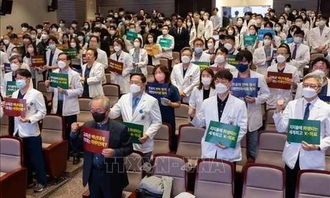 Chính phủ Hàn Quốc cho phép các trường linh hoạt tăng chỉ tiêu tuyển sinh ngành y