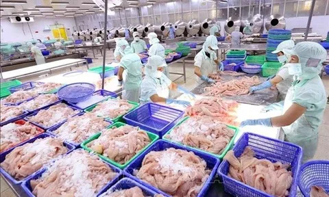 Phí vận chuyển ghi nhận tăng theo cấp số nhân tại một doanh nghiệp thủy sản