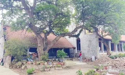 Hải Phòng: Di tích quốc gia bị xâm hại khi tu bổ, tôn tạo