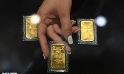 Giá vàng đứng im trước ngày Ngân hàng Nhà nước đấu thầu vàng