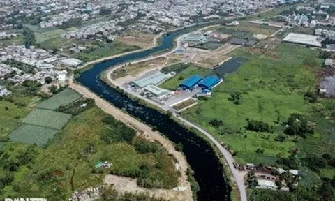 Mời Tập đoàn Thuận An làm việc về 4 gói thầu ở TPHCM