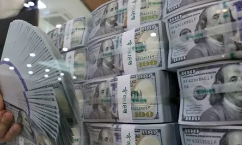 Dự trữ ngoại hối của nền kinh tế lớn thứ năm thế giới giảm kỷ lục