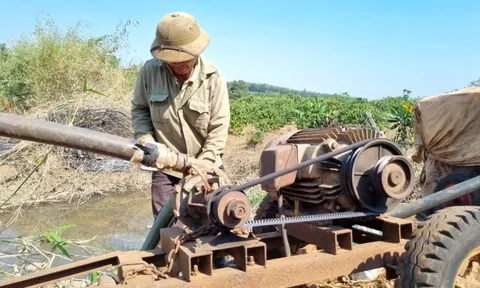 Đắk Nông đề xuất xây dựng mới 10 công trình thủy lợi để chống hạn