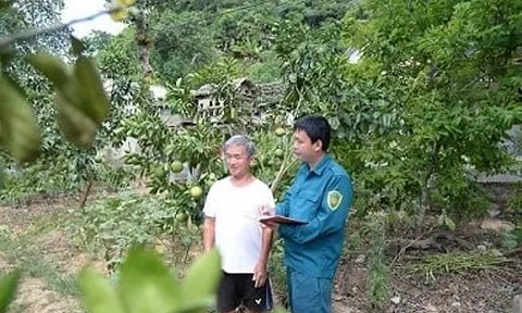 Trưởng thôn 9X ở Hà Tĩnh, vị “thuyền trưởng” của phong trào NTM