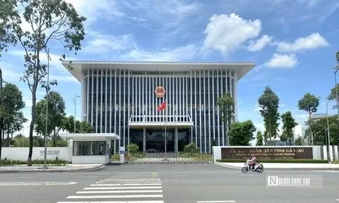 Cà Mau: Tăng cường thực hiện phòng, chống gian lận, trục lợi quỹ BHYT