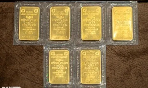 Lộ lý do Ngân hàng Nhà nước hủy đấu thầu vàng hôm nay