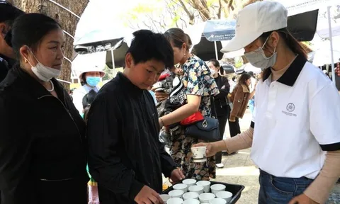 Giá cà phê tăng kỷ lục nhưng sản phẩm chế biến sâu vẫn “nằm im”