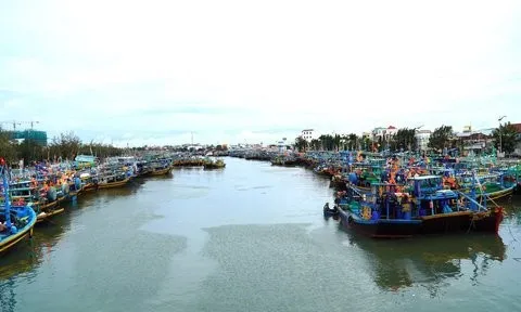 Bình Thuận ứng phó với nguy cơ tràn khoảng 9.000 lít dầu DO ra biển