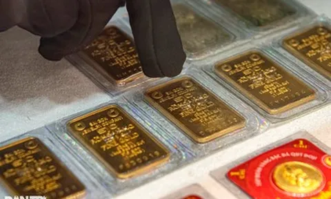 Phiên đấu thầu vàng đầu tiên: 11 đơn vị tham gia, có 4 cái tên quen thuộc