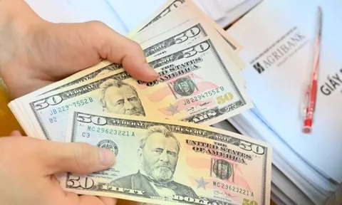 Kiều hối dùng xây nhà, mua xe nhưng để sản xuất kinh doanh thì tốt hơn