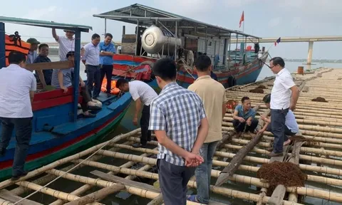 Vụ nuôi hàu trên sông Lam: Đề nghị chủ mô hình hoàn thiện các thủ tục