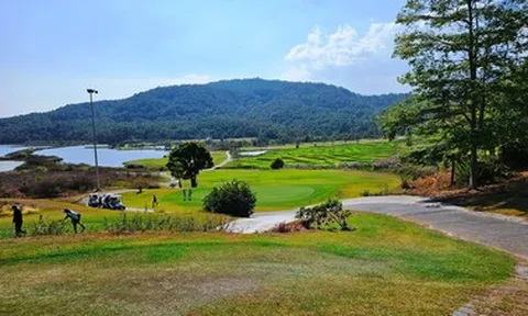 Lâm Đồng yêu cầu làm rõ vụ mất gần 40ha rừng ở dự án sân golf The Dàlat