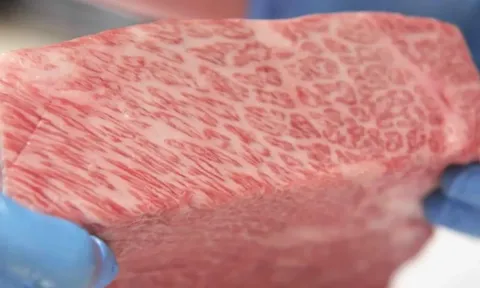 Cùng một tên gọi, chợ Việt Nam chỉ bán vài trăm nghìn, Nhật Bản bán tới 130 triệu/kg, thậm chí mua cả con tốn hơn 8 tỷ đồng: Biết tại sao sẽ phải gật gù ‘đắt xắt ra miếng’