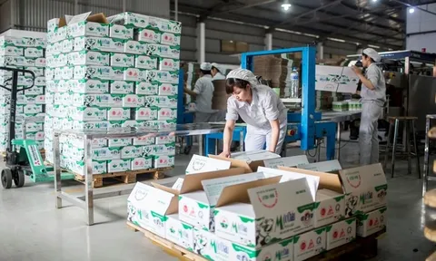 Lợi nhuận quý I/2024 của Mộc Châu Milk chạm đáy 3 năm