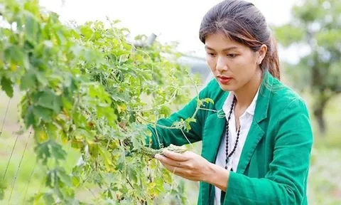 “Hoa hậu đông con nhất Việt Nam” đưa 6 con trở lại Tp.HCM sau 4 năm “bỏ phố về rừng”