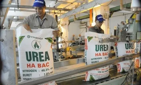 Đạm Hà Bắc tiếp tục được xoá hơn 140 tỷ đồng lãi vay trong quý I/2024