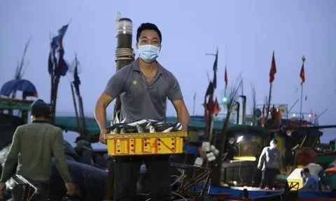 Hà Tĩnh nỗ lực Gỡ thẻ vàng IUU (2): Động viên ngư dân bám biển, khai thác thủy sản hợp pháp