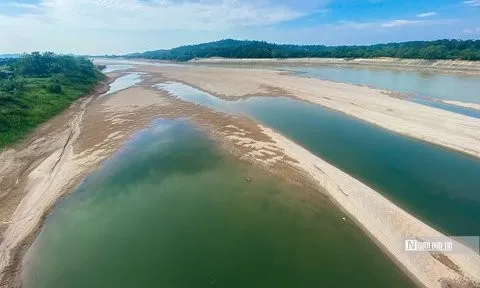 ADB đã cam kết mức tài trợ khí hậu kỷ lục trong năm vừa qua