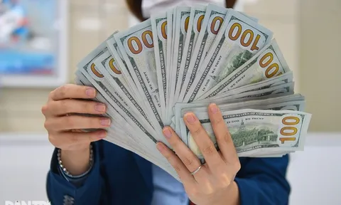 Một doanh nghiệp Việt nghi bị lừa, may vẫn đòi lại được hơn 13 tỷ đồng