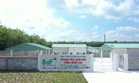 Lợi nhuận BAF tăng đột biến, gấp 30 lần trong quý I/2024
