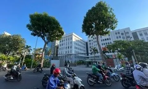 Chủ đầu tư metro số 2 nói lý do phải đốn hơn 400 cây xanh