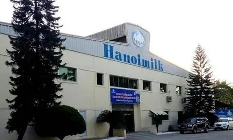 Hanoimilk: Tiền tăng gấp đôi vẫn không đạt nổi 10 tỷ đồng