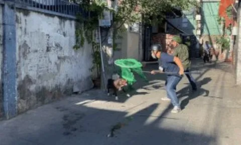 Cán bộ phường ở TPHCM bị chó chạy rông cắn chảy máu chân khi vây bắt