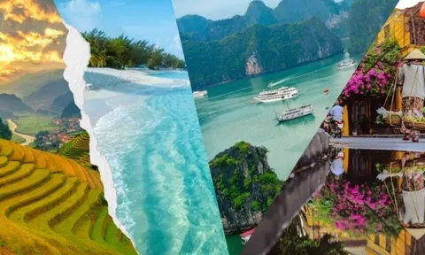 Kiện toàn Ban Chỉ đạo Nhà nước về Du lịch