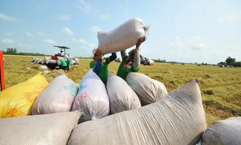 Việt Nam lọt top 5 nhà cung cấp thuỷ sản lớn tại Singapore