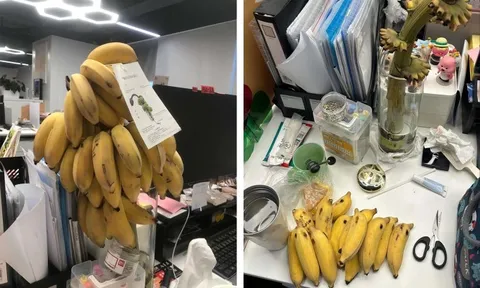 Mốt làm 'nông dân văn phòng'