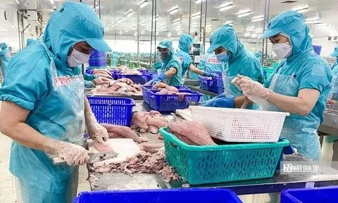 Mexico là quốc gia tiêu thụ cá tra nhiều nhất trong khối CPTPP