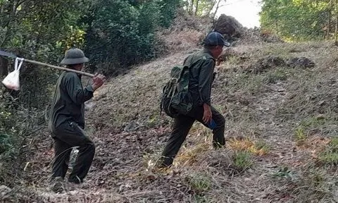 Những người "gác rừng" không có ngày nghỉ lễ