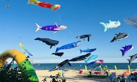 Bình Thuận: Lễ hội thả diều rực rỡ sắc màu thu hút nhiều du khách