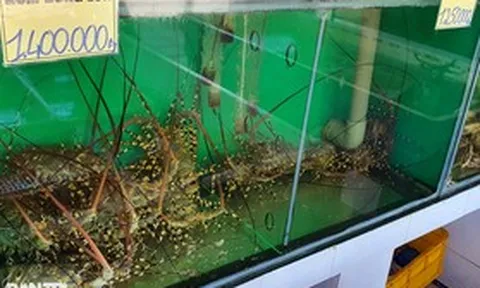 Vụ 3 taxi chở khách đến quán hải sản "tráo hàng": Góc khuất tiền hoa hồng