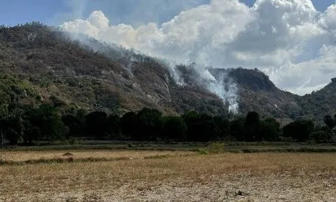 An Giang: Phân công lực lượng ứng trực 24/24 giờ phòng chống cháy rừng