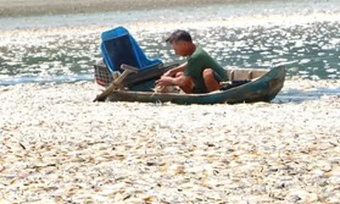 Hơn 200 tấn cá nuôi trên lòng hồ Sông Mây chết trắng xóa