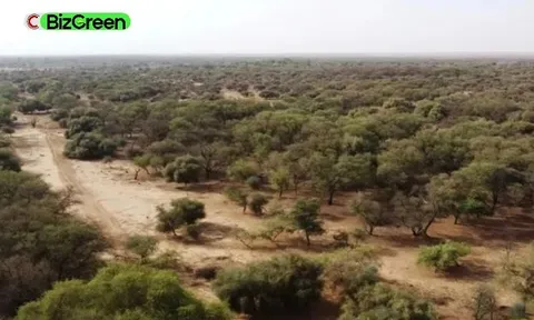 Dự án ‘Vạn lý Trường thành xanh’ kéo dài suốt 17 năm giúp ngăn chặn tình trạng sa mạc hóa, chi phí ước tính tới gần 50 tỷ USD, sẽ tạo ra 10 triệu việc làm