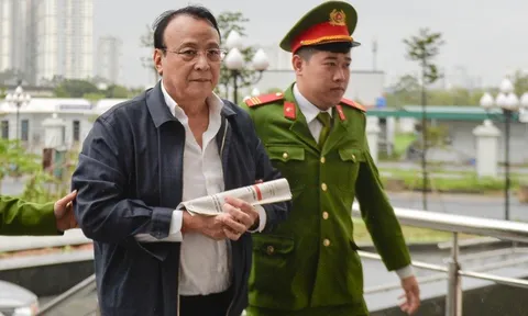 Chủ tịch Tân Hoàng Minh Đỗ Anh Dũng kháng cáo xin giảm nhẹ hình phạt